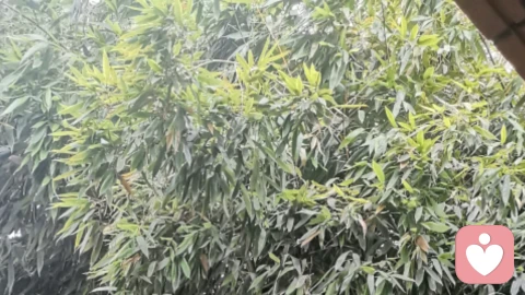 向别人寻求帮助
