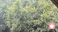 向别人寻求帮助