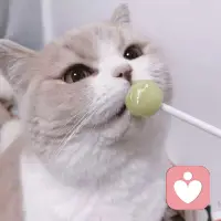 成年人的世界，从来都不缺委屈和疲惫。

很多时候，你不需要别人给你大道理，不需要谁来评判对错，只需要一个愿意安静倾听、不打断、不指责、不评判的人。

允许自己脆弱，允许自己情绪崩溃，允许你不用一直假装坚强。不用逼着自己懂事，不用硬撑着微笑，你的难过、迷茫、压抑，都值得被好好安放。

我在这里，做你的情绪树洞。
听你倾诉心事，陪你消化委屈，接住你所有无处安放的情绪。
不用伪装，不用逞强，在我这里，你可以做最真实的自己。