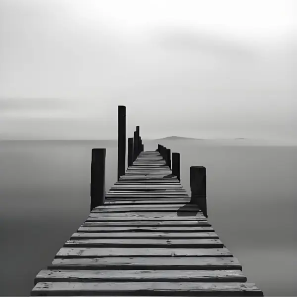 安静的树洞