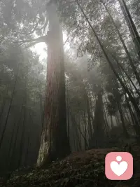 又下雨了，雨在追我，我却放慢了脚步，
任由它给予我冰冷的拥抱！
我走的不急不躁，
想细细的聆听它的悲伤。配图