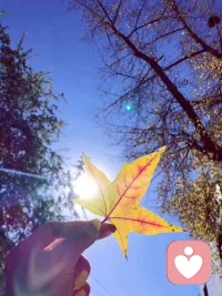 永远不要放弃真理，不要屈服在别人的说辞里，不要在意别人的眼光，不要做别人的附属品。你是谁，只有你自己说了算。我们的生命是独立而珍贵的，我们的存在并非是为了迎合他人。若是面对不公，那就坚决和它斗争到底！活在自己的心里，也并非一句口号。落在实处，从心而出的快乐，你的眼里有万丈光芒，心中有山水的美丽....丰盈的内心，永恒之光的幸福，来源于你的真心。注入正念把人做好，正心正念正行，与光同行，磁场温和，滋润万物，如冬雪消融，春风化雨，夏暑遇凉，秋日飒爽,一切刀剑冲突也尽是化作玉帛了。这就是光和爱的力量，大爱光明，善良勇敢，慈祥温和，智慧圆满!配图