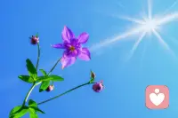 看透关系的本质分四步第一步：看清掠夺，立刻止损任何关系，只要出现：背叛、冷暴力、算计、索取、长期消耗、不尊重、不平等它就是掠夺，不是爱。止损＝保命，离开＝自救。
第二步：自我拆掉操控编码，拿回属于自己生命的主动权。不做牺牲者不做索取者不做控制者不做受害者不被恐惧绑架不被道德捆绑不把幸福寄托在任何人身上。
第三步：回归平等，回归真爱灵魂本自平等，没有高低贵贱。真正的爱是：互相尊重、互相托举、互相滋养、双向奔赴。不是一方跪着，一方站着；不是一方吸食，一方献祭。
第四步：心归本源，稳定高频把心放在光与爱的本质里，不再被角色困住，不再被肉身迷惑，不再被小我牵着走。当你频率提升，消耗你的人自动远离，滋养你的人自动出现，负能量穿不透你，外境跟本影响不到你。配图