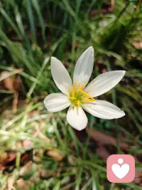 🌿我是安禾｜专属倾听陪伴
生活里藏着很多说不出口的疲惫：莫名焦虑、感情内耗、人际委屈、深夜胡思乱想，身边无人理解，心事积压在心无处诉说。
 
安于心，暖如禾。
不评判对错、不灌输大道理、不随意说教，安静接住你的所有负面情绪。
你可以卸下伪装，肆无忌惮倾诉琐碎烦恼、难言心事，我耐心聆听，陪你梳理心结，缓解内耗。
 
不必独自硬撑，你的心事，我愿意静静听完。
需要倾诉，我一直在线等候。