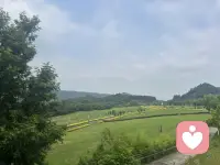 亲爱的，不要悲伤，你要相信自己是最好的，是独一无二的，上天不仅赋予了我们生命，还赋予了我们快乐的权利，任何人都无权剥夺。配图