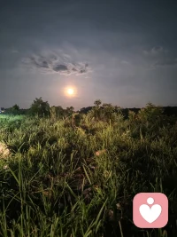 人活着不止是为了一日三餐，柴米油盐。