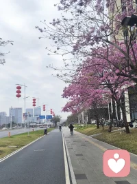 允许情绪起落，不必时刻保持清醒与坚强。