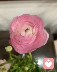 做一个安静的倾听者，接住你所有无处安放的情绪。不必逞强，不必伪装，在这里你可以放心卸下所有疲惫。
