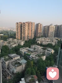 倾听师，一脉相承的还是心理咨询师。为啥心理咨询而不叫心理治疗？因为我们解决的在定义为病人之前的事，确诊病人了才是医生的事。
所以，我们不是病人，是普通人，是各抒己见的人，是生活中有压力找个有回应的陌生人吐吐槽而已的普通人。所以，你心中若有苦衷找不到人说话，你就可以拿起电话打给倾听师，一个不行你可以打二个，三个...其中有不少人本身就是优秀的咨询师，可能不止是树洞还能疏导，你就偷着乐吧，哈哈，配图