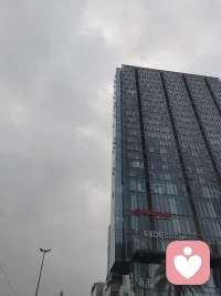 静静的深夜，你在写教材。我这里已经天亮了。