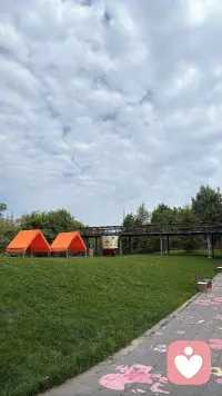 有时候慢下来，才能等到对的相遇