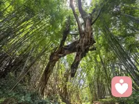 生活总有焦虑，疲惫，内耗。
不必一个人硬扛。
给力心理，用心倾听每一份心事，
陪伴你接纳情绪、治愈自己，
愿你内心有力量，生活有光亮✨配图