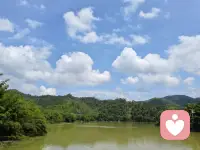 生活总有焦虑，疲惫，内耗。
不必一个人硬扛。
给力心理，用心倾听每一份心事，
陪伴你接纳情绪、治愈自己，
愿你内心有力量，生活有光亮✨配图