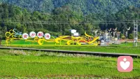 生活不必太匆忙，认真感受每一个平凡日常。保持热爱，守住温柔，平安喜乐，万事顺遂，好好爱自己，慢慢过生活。配图