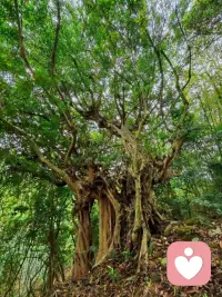 总有人说不幸的童年要用一生治愈。
那些藏在心底的童年碎片，有委屈、有落空、有不被理解的瞬间，长大之后还是会在某个深夜突然翻涌。
        后来才慢慢懂得，原生的伤痕无法抹去，但成年的我可以好好拥抱小时候那个孤单的自己，慢慢自愈，慢慢和过往和解。配图