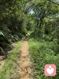 总有人说不幸的童年要用一生治愈。
那些藏在心底的童年碎片，有委屈、有落空、有不被理解的瞬间，长大之后还是会在某个深夜突然翻涌。
        后来才慢慢懂得，原生的伤痕无法抹去，但成年的我可以好好拥抱小时候那个孤单的自己，慢慢自愈，慢慢和过往和解。配图