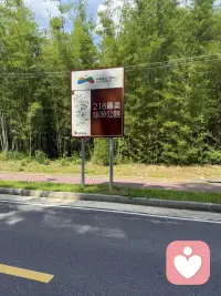 总有人说不幸的童年要用一生治愈。
那些藏在心底的童年碎片，有委屈、有落空、有不被理解的瞬间，长大之后还是会在某个深夜突然翻涌。
        后来才慢慢懂得，原生的伤痕无法抹去，但成年的我可以好好拥抱小时候那个孤单的自己，慢慢自愈，慢慢和过往和解。配图