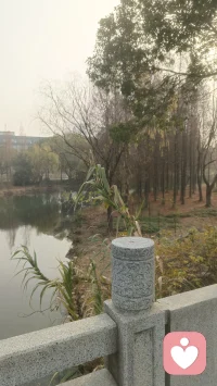 个人成长简单理解：
 
一个人思想、能力、心态、眼界慢慢变好、变得成熟的全过程。
 
包含几方面：
 
1. 心智成长
遇事不再冲动，学会控制情绪、换位思考，接纳不完美。
​
2. 能力成长
学会新知识、新技能，解决问题比以前更得心应手。
​
3. 认知成长
眼界变宽，打破固有偏见，看清自己的优缺点。
​
4. 心性成长
能扛挫折、不怕失败，独立自主，不再依赖别人定义自己。
 
一句话总结：
 
从幼稚走向成熟，不断完善自我、变成更好的自己，就是个人成长。