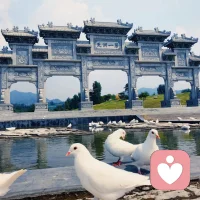 蛤蟆先生去看心理医生》经典原文语段
 开篇咨询·核心立意
 
1. 蛤蟆：“你认为我会好起来吗？”
苍鹭：“如果我不相信每个人都有能力变得更好，我就不会做这份工作了。但归根结底，这一切都取决于你。
这段对话讲了，蛤蟆不自信的问苍鹭咨询师：“你认为我会好起来吗？”然而，苍鹭的回答却是说，相信每个人都有能力变得更好！

其实每个人都有能力变得更好的，只是你通过什么样的路径达到这一目标，我们之所以现在变得这么不好，焦虑，是因为身边缺少了像苍鹭这样的咨询师，给你希望、鼓励、支持、倾听、信心，让你从一个失落的抑郁患者，从而走向人生梦想，实现自我价值！

欢迎来访者来找我诉说你的问题，一起来探讨人生价值，帮你解决困惑，从而更好的来过好自己的人生！配图