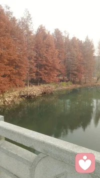 心理咨询主要作用
 
一、情绪疏导
 
1. 释放压抑的焦虑、烦躁、委屈、抑郁、愤怒等负面情绪，不用独自憋着内耗；
​
2. 缓解失眠、心慌、紧绷、莫名低落、易怒等情绪带来的躯体不适感。
 
二、理清思绪
 
遇事混乱纠结、胡思乱想、反复钻牛角尖时，咨询师客观中立帮你梳理问题，分清事实、想法、情绪，不再盲目纠结。
 
三、认清自我
 
看清性格短板、思维惯性、原生家庭带来的处事模式，明白自己为什么容易敏感、自卑、讨好、情绪化，找到问题根源。
 
四、改善人际关系
 
解决亲子矛盾、伴侣争吵、社交恐惧、职场沟通不顺、不会拒绝等人际困扰，学会换位思考、合理表达需求，减少冲突。
 
五、矫正认知误区
 
改掉极端化、完美主义、习惯性自我否定、悲观消极等错误想法，建立理性看待问题的思维。
 
六、学会解决问题
 
不是咨询师替你做决定，而是教你情绪管理、沟通方法、压力调节技巧，以后遇到烦心事可以自行应对。
 
七、走出心理困境
 
改善轻度焦虑抑郁、强迫思绪、创伤情绪、考前压力、失恋痛苦、人生迷茫等困扰，防止小情绪演变成严重心理问题。配图