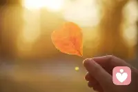 看见自己内在的黑暗，就是让阳光照进来，驱散阴霾！