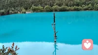 山川河流无论多美，他从来不执着是否美丽，无论有多少过客，他从来不执着谁是否停留，无论世间风云如何变化，维一不变的是自我实现的倾向。无论爱情还是事业！