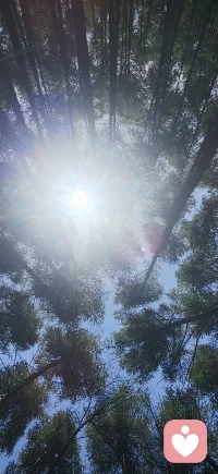 如果你能在别人身上 看到勇气 非凡和魄力，那么在你的内心深处一定也有一样的东西 ，否则你是认不出来的 也就是说，你所欣赏的人身上藏着你的品味和志趣，相反，你所厌恶的人身上藏着你的底线和原则，不要只是去仰望别人的光，你能认出光，就证明你本身就是光源，你心里有光，你内心的力量其实并未缺席，只 是需要你勇敢的唤醒，大胆的去做，你远比自己想象中更厉害。
每一个让你情绪波动的人 不过是一面面映照内心的镜子他们的出现 让你看清自己执着于什么 恐惧着什么 逃避着什么 外境只是舞台 修行不是改变别人 而是在每一次相遇中 诚实面对那个未被接纳的自己。
