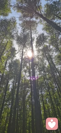 人始终在不断变化，持续认清自我是一件幸事。在成长路上慢慢沉淀内心，褪去焦虑与精神内耗，变得平和淡然，坦然接受世事缺憾，学会包容理解、勇敢表达心声。愈发偏爱沉静且有力量的自己，明白自身真诚善良的品性并非弱点，静待同频之人相知相伴，同时不断丰盈内心，塑造更强大沉稳的自我，体悟生活里的富足与安宁 ✨配图
