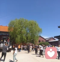 幸福心理学专家周梵写过一句话：“你生命中所有的问题，都来自你不够爱自己。”
深以为然。人这一生最大的修行，就是学会爱自己，在这个世界上，最该爱的人就是自己。爱人先爱己，谋爱先谋生，才是一个成年人该有的清醒。
人和人之间交往的本质就是价值的互换。人只会因为有价值而被尊重和爱，不会因为你需要爱，或者你爱他（她）而被爱。
别高估关系，别低估人性。这世上最善变的就是人心。与其花时间去试探别人是否真心待你，是否全心全意爱你，不如专注自己，提升自己，停止内耗，拿出勇气真实地面对自己，接纳自己赋予的自由和力量。
爱人当适可而止，爱己需尽心尽力。一个人最糟糕的状态就是在他人身上寻找快乐和满足，执着地站在原地等待别人来爱自己。
这是自己内在匮乏的表现，自己越缺乏力量，就越会对他人产生依赖。我们总是期待身边的人能够给予自己更多的安全感、信心和勇气，以此来弥补或替代内心的空虚、无力和恐惧。
然而，对他人越依赖，自己内在就越没有价值感和力量支撑，会感受到更多的孤独和挫败，最终发现没有人会变成你期待的样子。
作家毕淑敏说：“等着别人来爱你，不如自己先努力爱自己。”
一个人改命的最好方式就是成为自己、精进自己配图