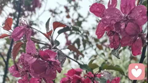 别让爱情死于“理所应当”几个感情里的扎心真相,懂了就能少吵架。