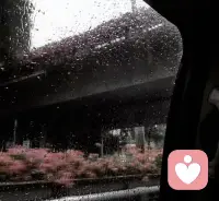 内心一但平静，外界就会鸦鹊无声，心态永远是你最好的风水，内心强大了，性格强大了就会变得温柔，精神松弛了内心才会变得平静，人最有魅力的时候，就是对周围的一切人和事变得不在乎，不在他人的评价和眼光，永远有自己的节奏和步调这才是最好的状态。配图