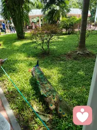 身体只是一具载体，你的意识才是你，你只是借助这具身体，去体验去感受而已。配图