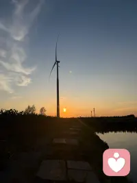你所有的压力，都是因为你太想要了，你所有的痛苦，都是因为你太较真了。配图