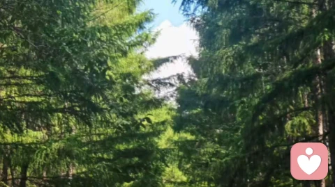 不是缺爱,是爱的通道暂时堵塞了:写给感到“缺爱”的你