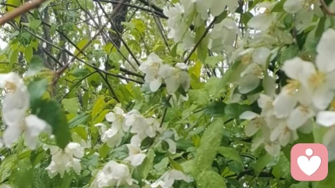 你的善良,必须带点锋芒:普通人建立心理边界的实操指南