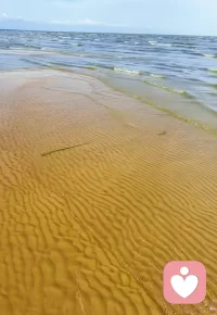 很多成年人在生活中的人际关系不顺本质是童年太过匮乏，他们在关系中潜意识里都指向同一种渴望，想找回童年里没有得到过的那份爱，说的在准确一点很多人不是在关系里找一个人，而是在关系里找一种感觉，当我脆弱的时候有人能接住我，当我不安的时候有人不会推开我，当我做的不够好的时候，爱也不会被撤回，心理学家科胡特讲过一个很重要的概念，叫映像，就是每个人都需要一面镜子，在他活着表达感受着的时候，有人能真正看见他，并且让他知道你这这样很好你很有价值的，这是一个人最基本的心理需要，所以精神分析中强调真正决定一个人后来能不能活的安稳活的有力量的从来不是知识，技能，规则。而是关系。父母跟孩子之间构建了怎样的关系这才是一切的核心，所以真正要改变的而是你身体里那套很早就形成的关系系统。