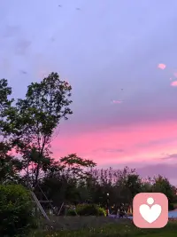 人和人最舒服的关系，永远都是对彼此没有任何期待。 早安！