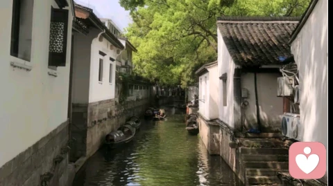 当爱变成一场“独角戏”：NPD人格的心理剖析与自救指南