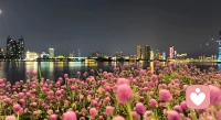 八月，祝我们渐入佳境，在这无尽的生活里，开始幸福！