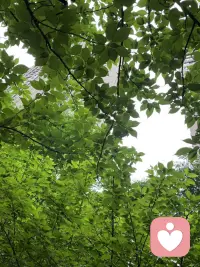 人要学会有自己的界限，明白自己的界限在哪里，不被别人影响，坚守自己的本心，做自己认为对的事。