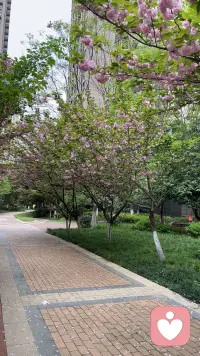 质量比量更重要，如果一件事做得压力，影响到睡眠，但又不确定要不要做下去，先减少做这件事的时间或者停几天看看。配图