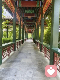 我的名字那么短，为何走进你心里那么难？配图