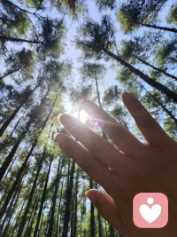 1. 满心期待，最后只剩满心遗憾。
​
2. 后来，我们止于遇见，归于陌生。
​
3. 表面好好生活，私下慢慢自愈。
​
4. 热情耗尽，礼貌退场，再不回头。
​
5. 故事很短，遗憾填满了岁岁年年。1. 原来有些人，只能陪一程，不能伴一生，我耗尽所有真心，终究留不住想要的圆满。
​
2. 装作放下所有过往，白天佯装快乐，独处时，所有委屈和想念悄悄泛滥。
 
需要偏高冷/温柔/丧系哪种，我可以再改