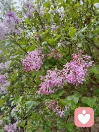 窗外连绵的阴雨缠缠绵绵，灰蒙的乌云铺满整片天空，细密的雨珠敲在玻璃上，远处景物朦胧氤氲。潮湿的风钻进屋里，空气裹着水汽，万物都被雨水润得湿漉漉，日子伴着淅沥雨声，安静又慵懒。心情愉悦内心平静