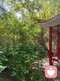 很多人误以为“隐忍、一味付出、失去自我”就是成熟，这是误区：
 
成长不是压抑需求，而是合理表达需求；
​
不是逆来顺受，而是有底线的包容；
​
不是围着家庭打转，而是家庭与自我双向兼顾。配图