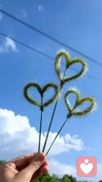 不管你经历了什么，是情感的漩涡，生活的重担，还是关系的崩塌，都值得被倾听，被理解，被接纳，只要你相信我，我一直都在……配图