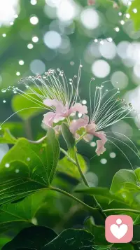 路不是选出来的，是走出来的，走着走着就明白了‌……