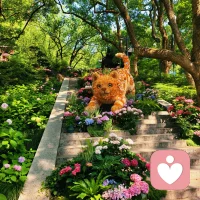 我始终笃定，倾听从不止是承接他人心绪，更是自我沉淀、稳步成长、兑现自身价值的修行。人海相逢本是缘分使然，能在此平台和来访者相遇，便是难得的机缘。我们每个人的力量纵然细碎渺小，恰似点点星火，可微光汇聚便能燎原，用耐心与共情，唤醒来访者心底尘封的光亮，点亮他们人生里熠熠生辉的片段。