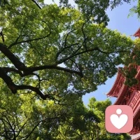 持续跳出舒适圈，不断尝试、摸索人生不同方向，在成长中慢慢懂得：人人都需要情绪与心事的安放之处。我坚持关照自身内心，时常梳理情绪、疗愈自我，攒足正向能量，安心做你的专属倾听人。