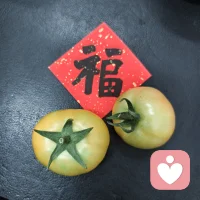 生命的底色是空，我们在这空里面涂上我们自己的色彩，最强的光是爱，吃喝拉撒睡，是实实在在的存在，美是愉悦身心，最终你得相信点东西，就是爱具体的人，做具体的事，思考具体的行为。配图